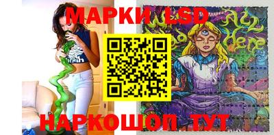 mdpv Новодвинск