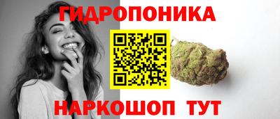 прущий лед Новозыбков