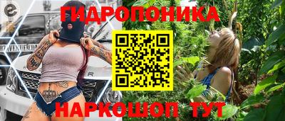прущий лед Новозыбков