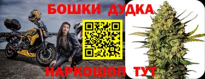 mdpv Новодвинск