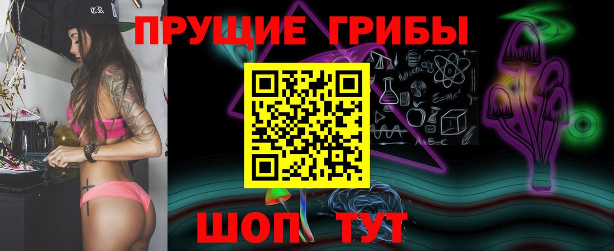 Галлюциногенные грибы GOLDEN TEACHER Черняховск